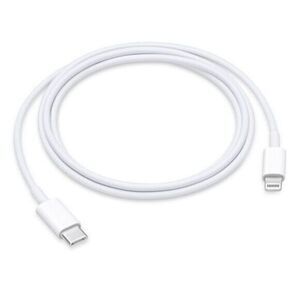 Apple iPhone charger